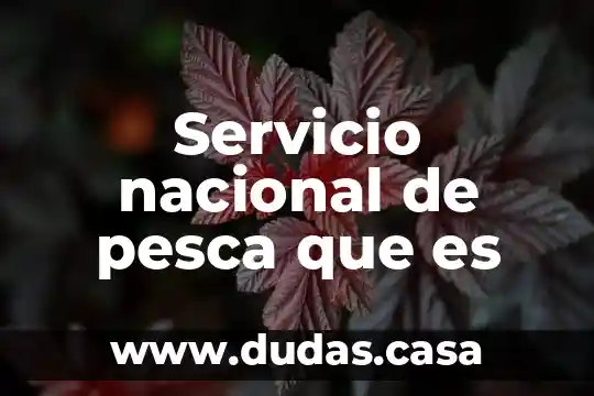 Servicio nacional de pesca que es