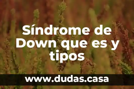 Síndrome de Down que es y tipos