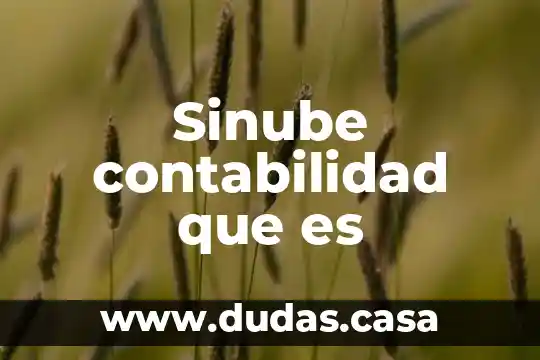 Sinube contabilidad que es