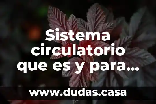 Sistema circulatorio que es y para que nos sirve