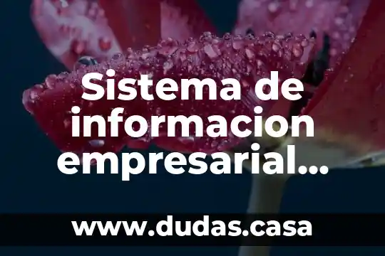 Sistema de informacion empresarial que es