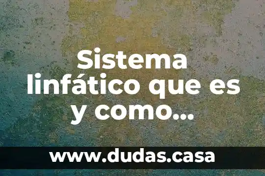 Sistema linfático que es y como funciona