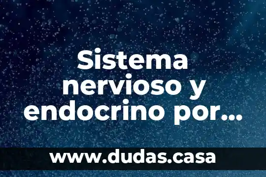 Sistema nervioso y endocrino por que es importante
