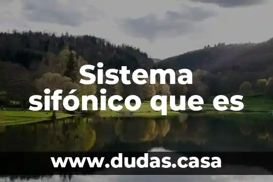 Sistema sifónico que es