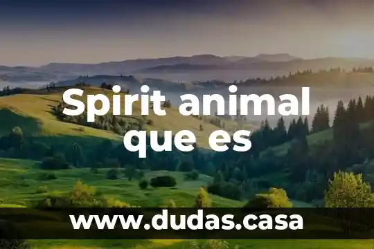 Spirit animal que es