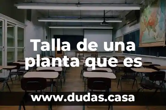 Talla de una planta que es