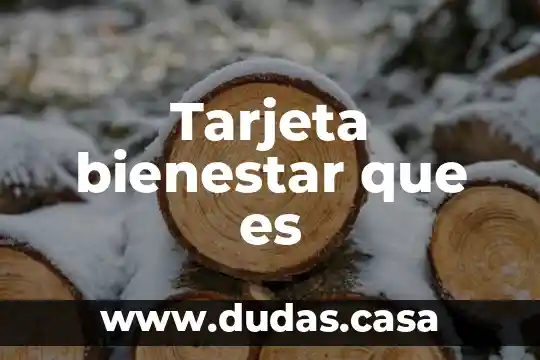 Tarjeta bienestar que es