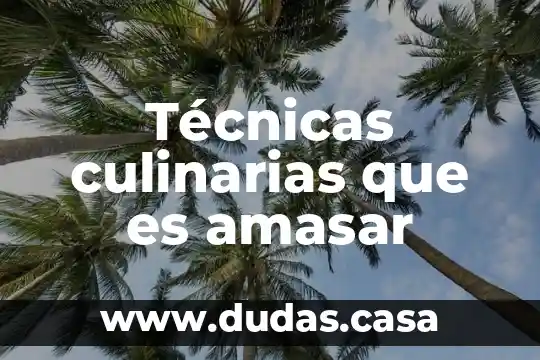 Qué es técnicas de control 5 Técnicas culinarias que es amasar