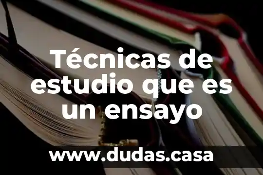 Técnicas de estudio que es un ensayo
