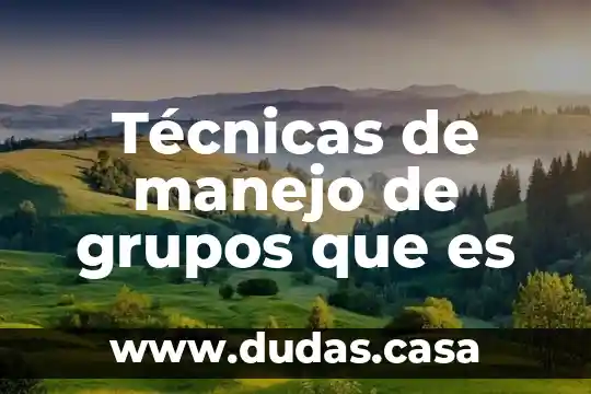 Qué es técnicas de control 6 Técnicas de manejo de grupos que es