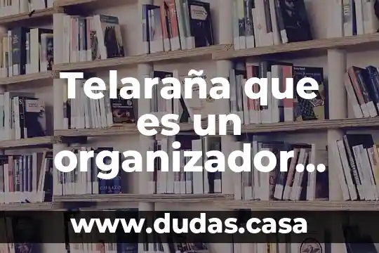 Telaraña que es un organizador gráfico