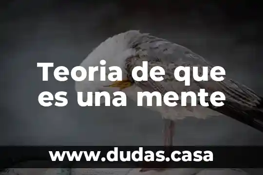 Teoria de que es una mente