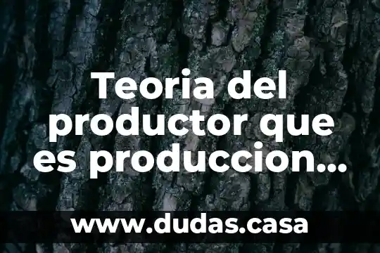 Teoria del productor que es produccion unam