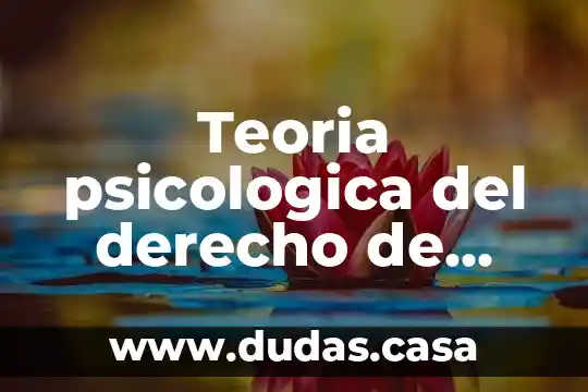 Teoria psicologica del derecho de bierling que es