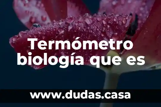 Termómetro biología que es