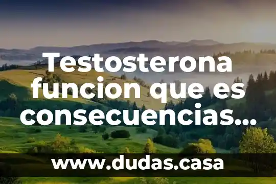Testosterona funcion que es consecuencias de su uso