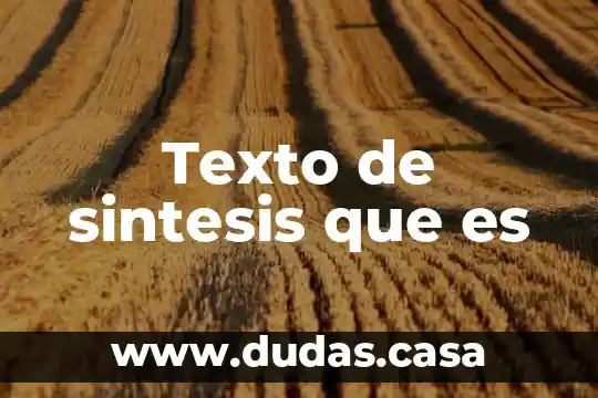Texto de sintesis que es