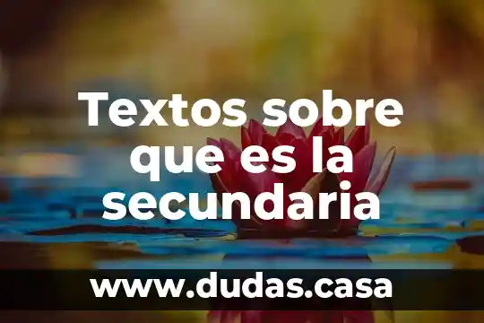 Textos sobre que es la secundaria