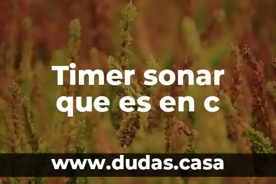 Timer sonar que es en c