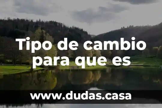 Tipo de cambio para que es