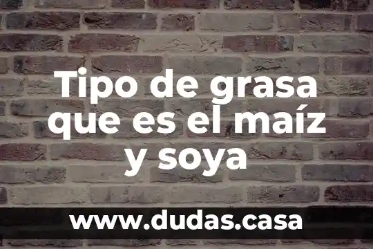 Tipo de grasa que es el maíz y soya