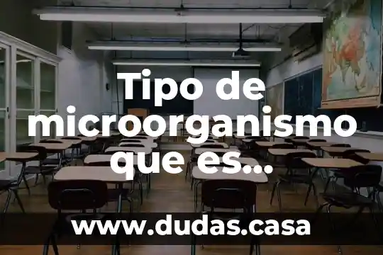 Tipo de microorganismo que es considerado pseudomonas