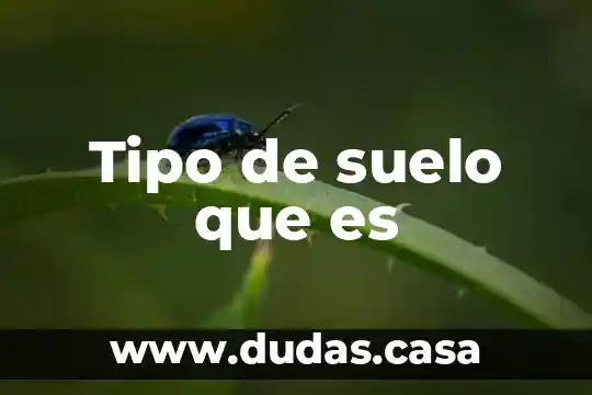 Tipo de suelo que es