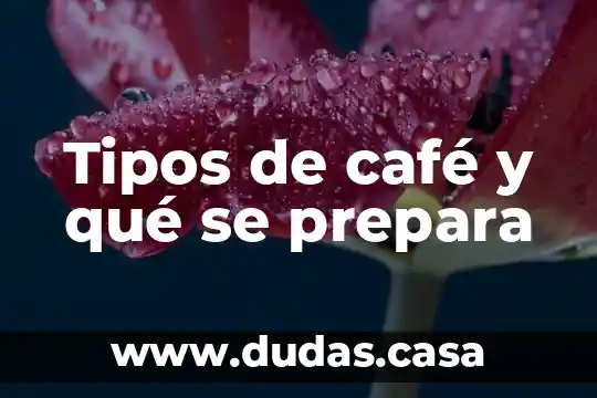 Tipos de café y qué se prepara