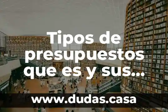 Tipos de presupuestos que es y sus tipos