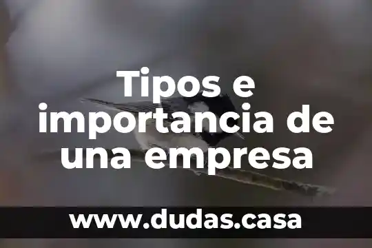 Tipos e importancia de una empresa