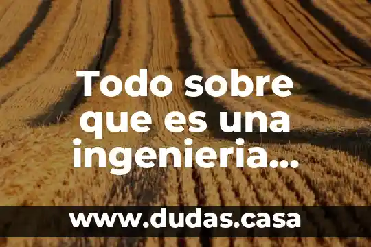 Todo sobre que es una ingenieria industrial y de manufactura