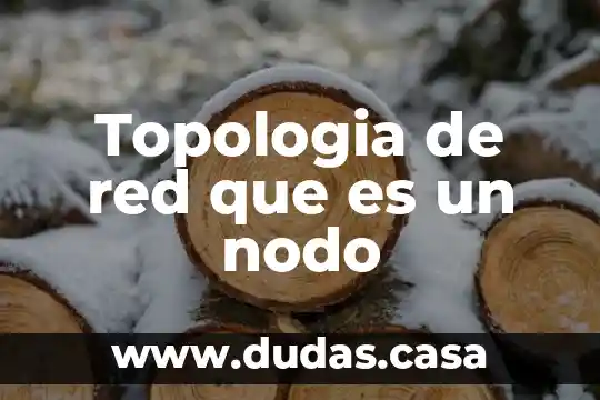 Topologia de red que es un nodo