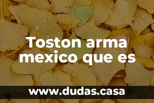 Toston arma mexico que es