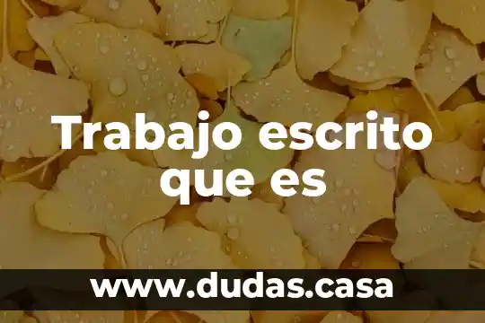 Trabajo escrito que es