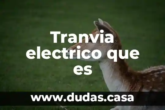 Tranvia electrico que es