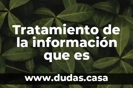 Tratamiento de la información que es