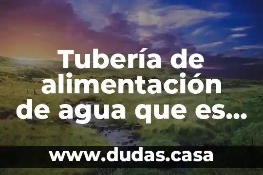 Tubería de alimentación de agua que es en una cladera