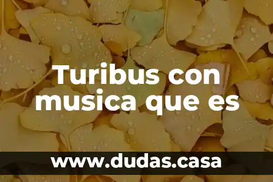 Turibus con musica que es