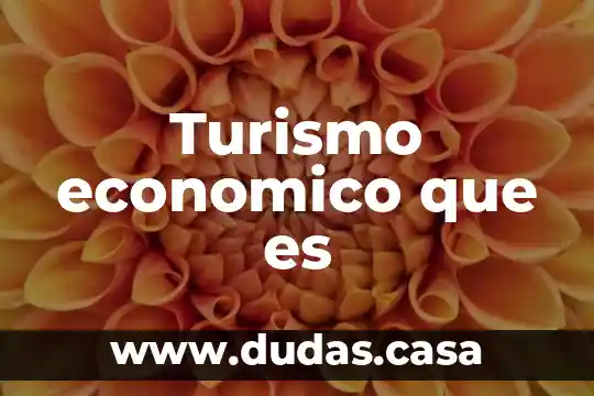 Turismo economico que es