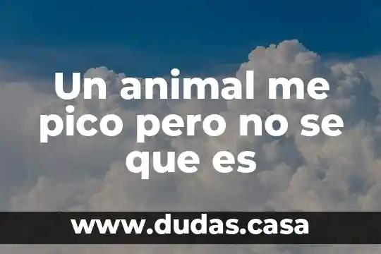 Un animal me pico pero no se que es
