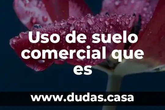 Uso de suelo comercial que es