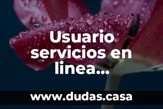 Usuario servicios en linea megacable que es