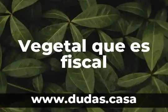 Vegetal que es fiscal