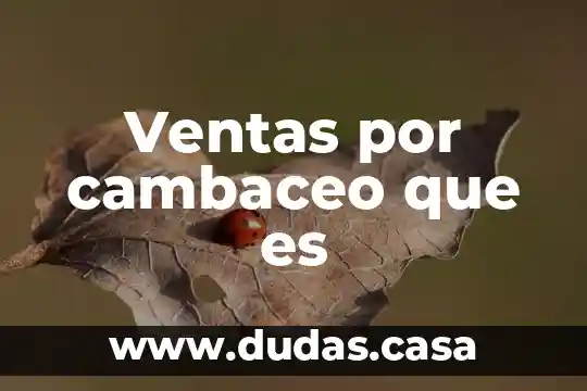 Ventas por cambaceo que es