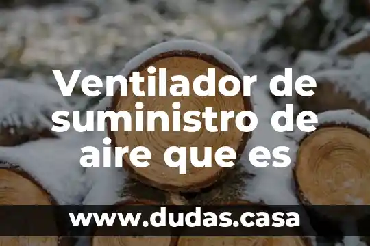 Ventilador de suministro de aire que es