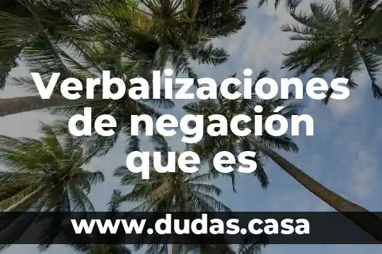 Verbalizaciones de negación que es