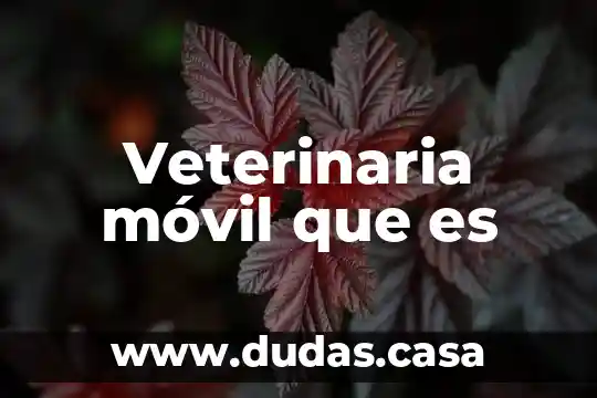 Veterinaria móvil que es