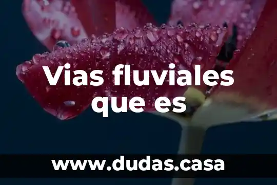 Vias fluviales que es
