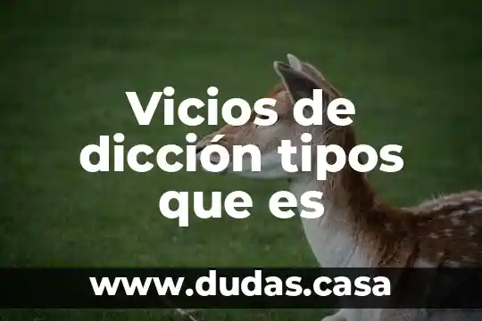Vicios de dicción tipos que es