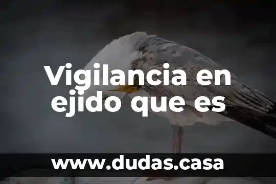 Vigilancia en ejido que es